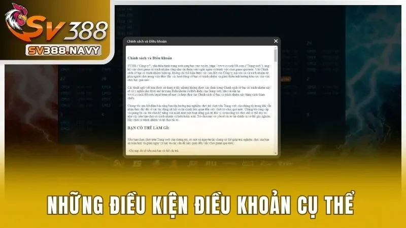 5 điều kiện điều khoản hiện có tại đơn vị
