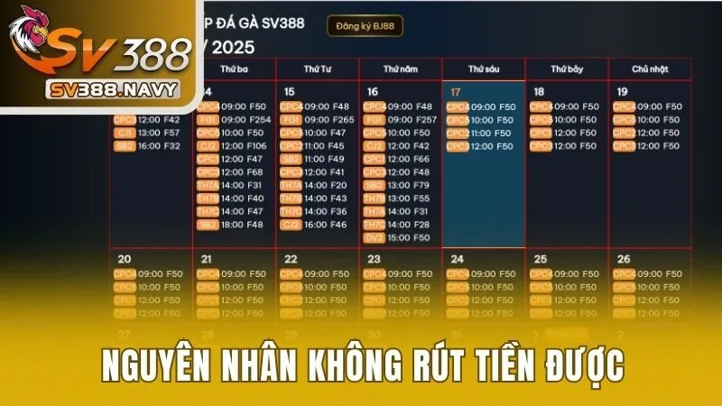 Hướng Dẫn Người Chơi Cách Rút Tiền SV388 Từ A Đến Z 3 Các nguyên nhân không thể rút tiền được và cách khắc phục