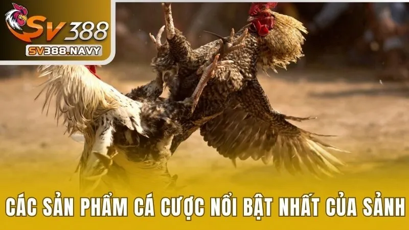 Các sản phẩm cá cược nổi bật nhất của sảnh