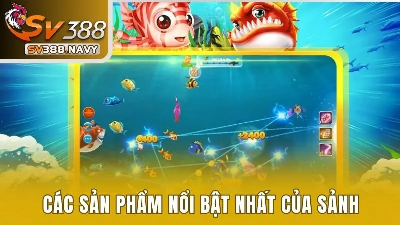 Các sản phẩm nổi bật nhất của sảnh