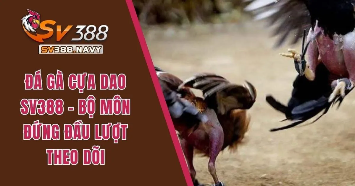 đá gà cựa dao sv388