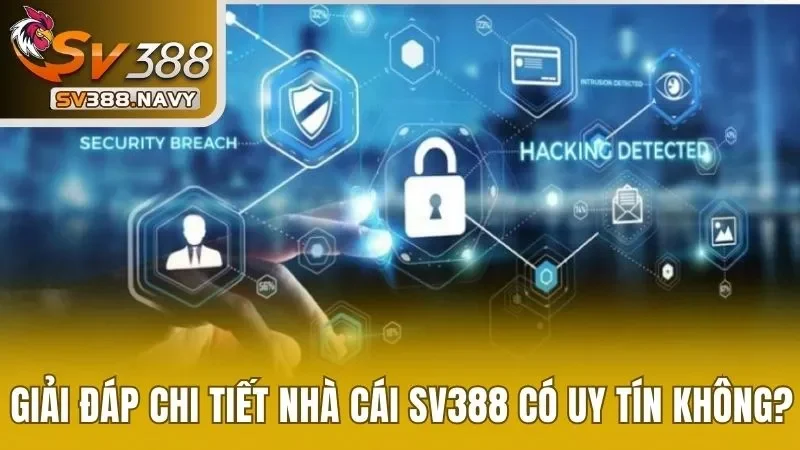 Giải đáp chi tiết nhà cái SV388 có uy tín không?