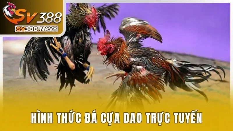 Ưu điểm đá cựa dao tại nhà cái SV388