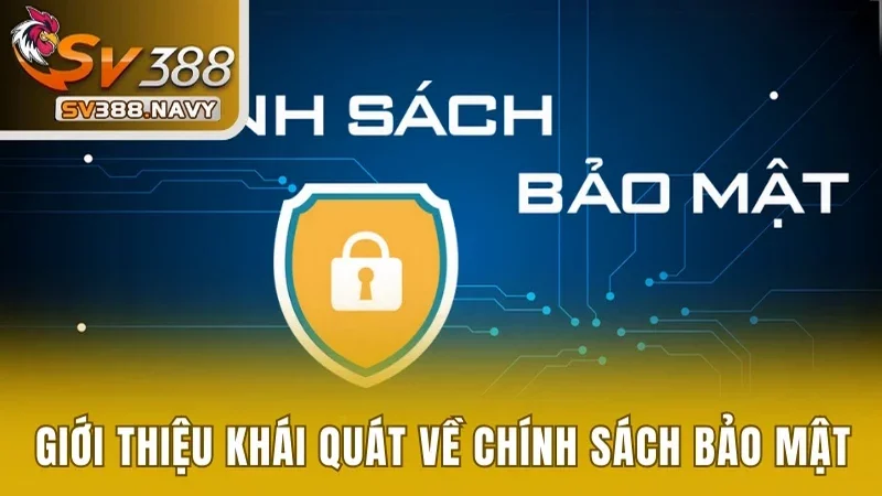 Chia sẻ khái quát về chính sách bảo mật
