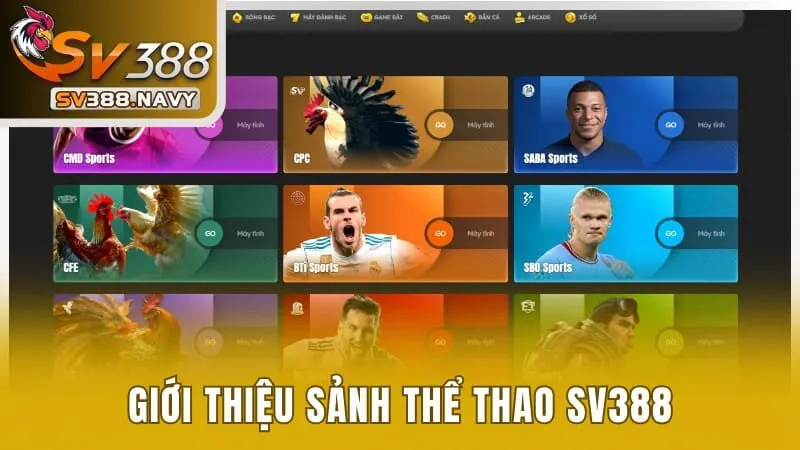 Giới thiệu sảnh thể thao SV388