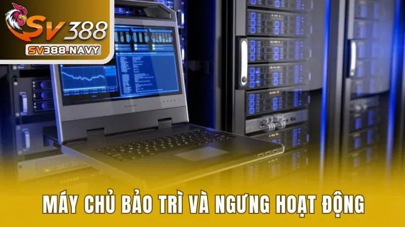 Học Cách Vào SV388 Không Bị Chặn Đơn Giản Mà Hiệu Quả 1 Máy chủ bảo trì và ngưng hoạt động