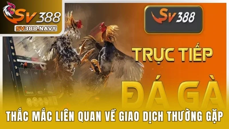 Câu Hỏi Thường Gặp Về SV388 - Giải Đáp Thắc Mắc Chi Tiết 2 Thắc mắc liên quan về giao dịch thường gặp